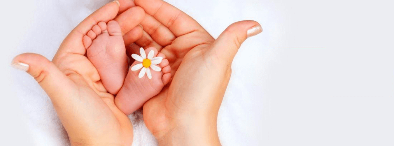 Hands cradle baby feet with a white daisy between them; soft background emphasizes tenderness and care.