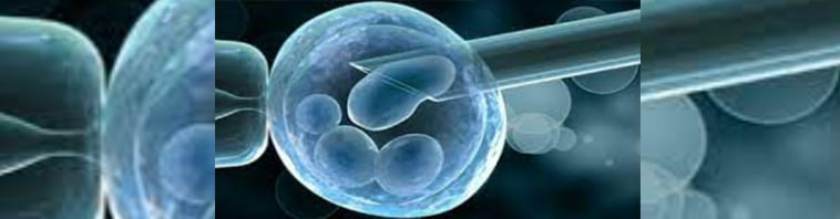Preimplantation Genetic Diagnosis (PGD)/Screening (PGS) with IVF