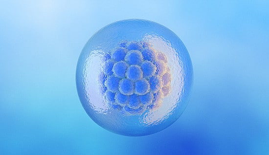Embryo Donar Process